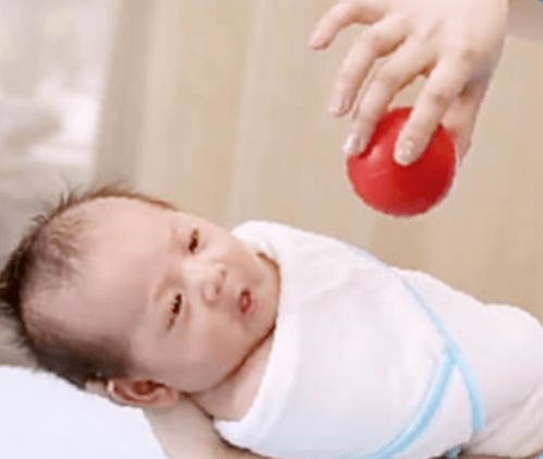 �Թ�Ӥ��ͼƬ4